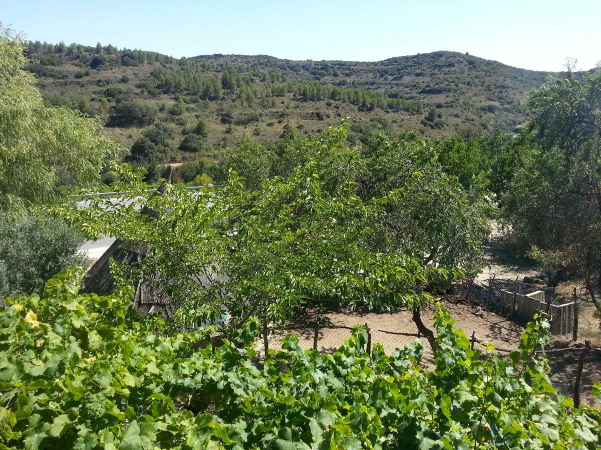 Hostal Rural Casa Pedro San Martín de Unx Dış mekan fotoğraf